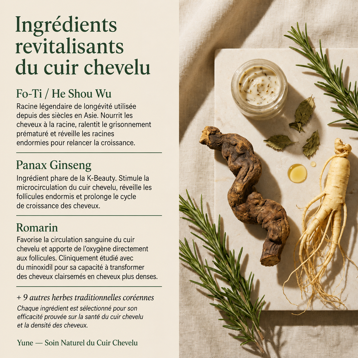 Barre coréenne revitalisante du cuir chevelu