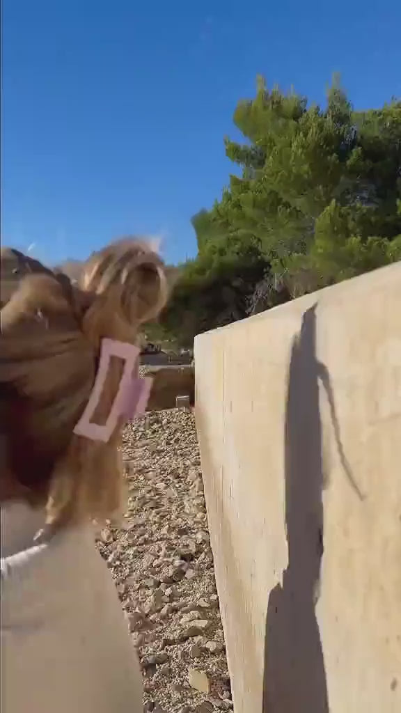 Vidéo